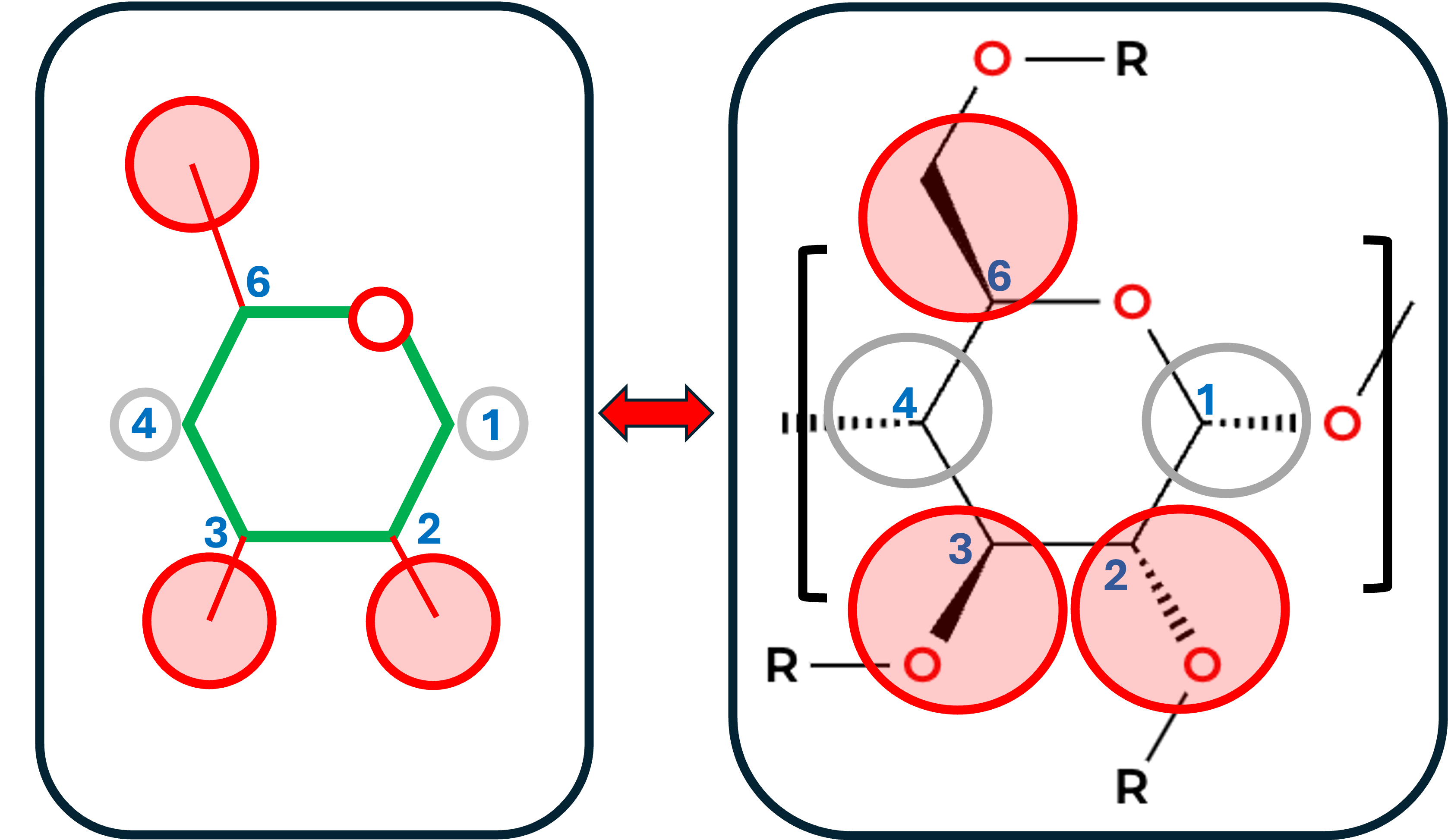 molecule diagrams showing a simplified representation of a molecule with numbered nodes connected by lines of varying colors on the left, and a more detailed, chemically accurate representation with numbered nodes, bonds, and chemical symbols on the right